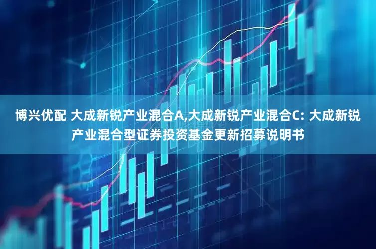 博兴优配 大成新锐产业混合A,大成新锐产业混合C: 大成新锐产业混合型证券投资基金更新招募说明书