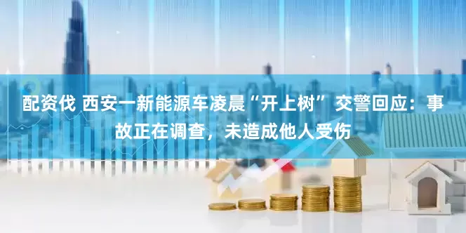 配资伐 西安一新能源车凌晨“开上树” 交警回应：事故正在调查，未造成他人受伤