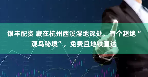 银丰配资 藏在杭州西溪湿地深处，有个超绝“观鸟秘境”，免费且地铁直达